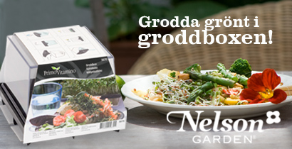 Groddbox från Nelson