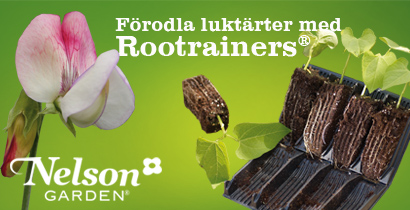 Roottrainer från Nelson