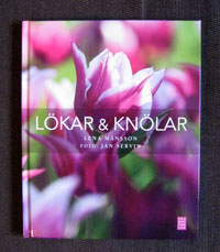 Lökar & knölar