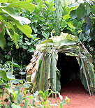 Bananbladshydda från Kamerun