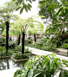 En flytande tropisk trädgård