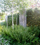 Träjon i en trädgård av Ulf Nordfjell