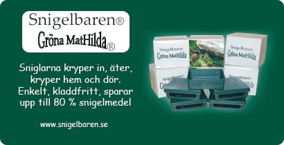 Snigelbaren Gröna MatHilda